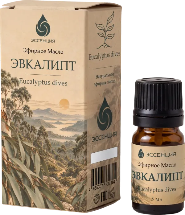Эфирное масло Эвкалипт: флакон 5 мл и коробка