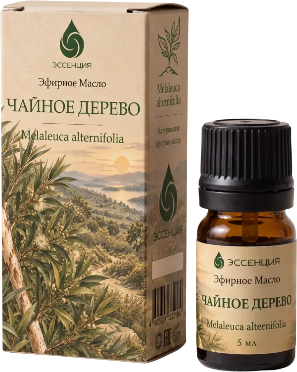 Эфирное масло Чайное дерево: флакон 5 мл и коробка
